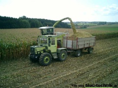 Mais haeckseln 01