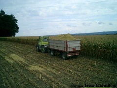 Mais haeckseln 02 001