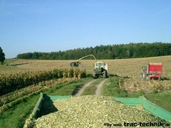 Mais haeckseln 03 001