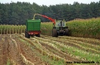 IMG 9384
